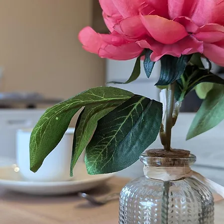 Charmante Avec Terrasse Et Jardin - 2 Renoves - Fr-1-585-133 *